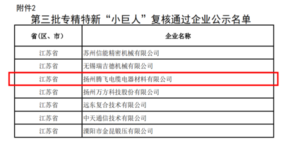 喜訊！揚(yáng)州騰飛成功通過(guò)國(guó)家級(jí)專精特新“小巨人”企業(yè)復(fù)核