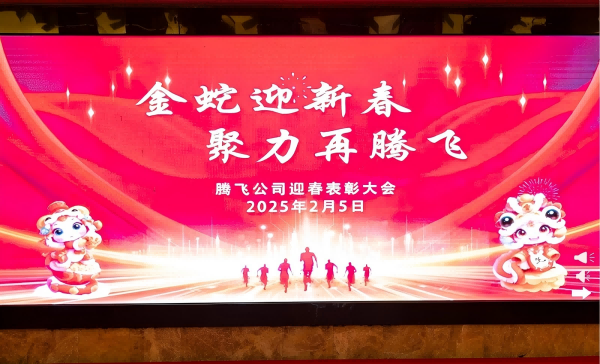 騰飛公司召開(kāi)迎春表彰大會(huì)