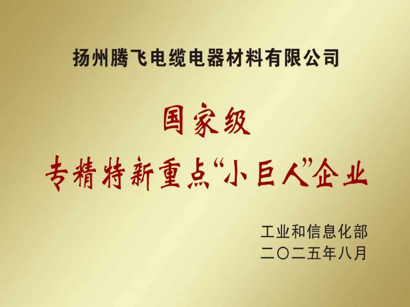 國家級專精特新重點(diǎn)”小巨人“企業(yè)